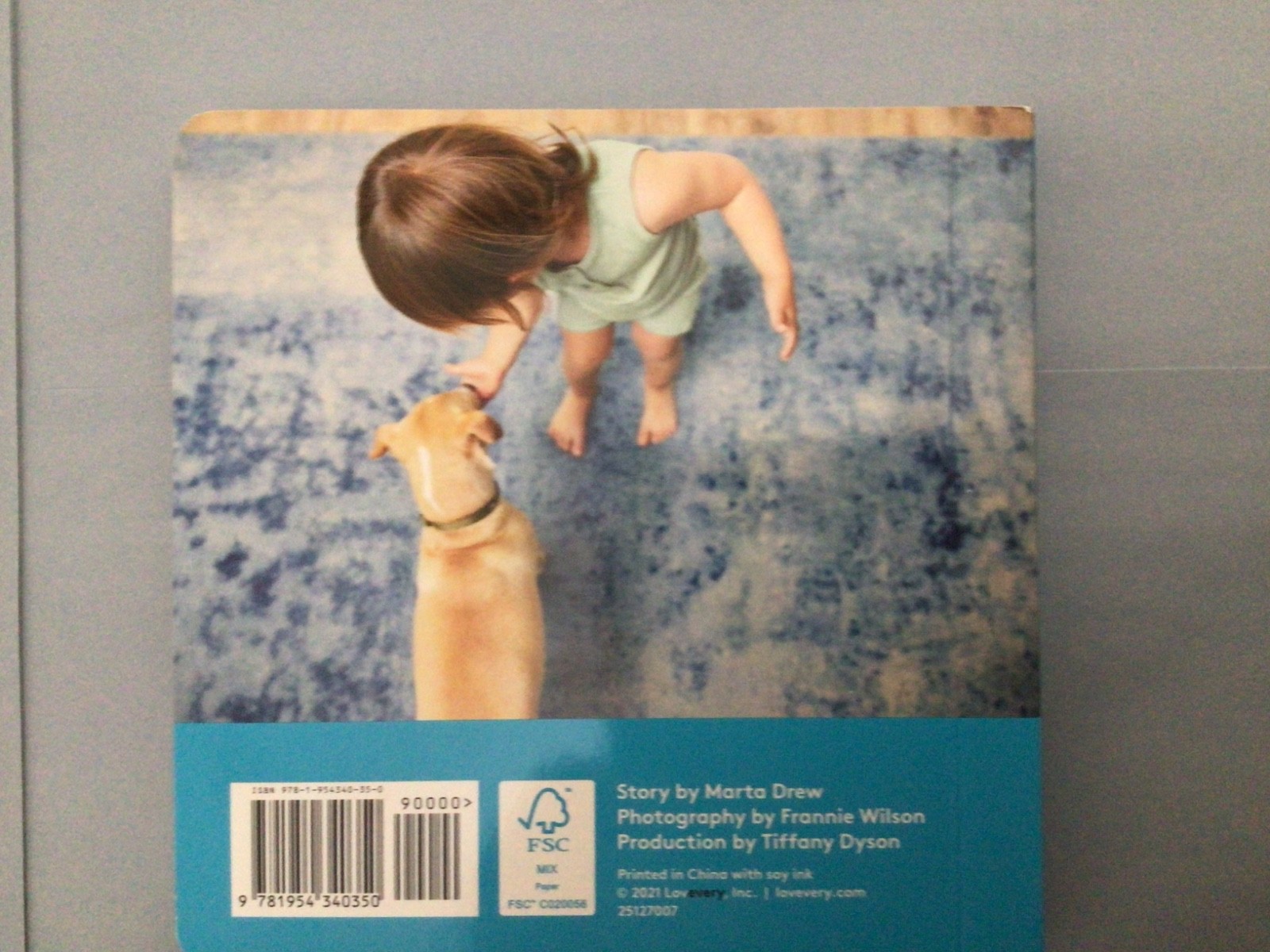 LOVEVERY BOOKS – BABY MATH – MY FIRST WORDS – 11 – 12 MONTHS- PLUS EXTRAS