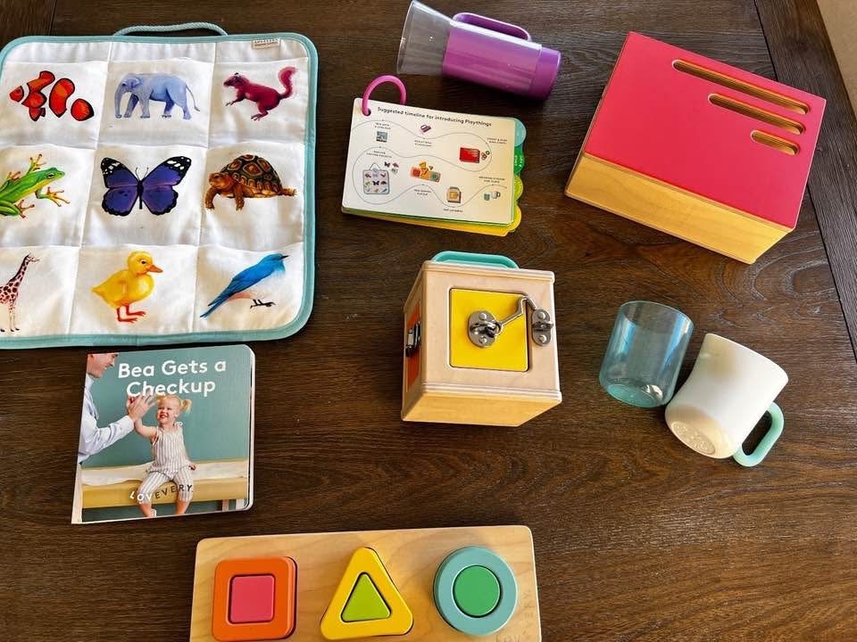 Lovevery Learning Toys The Realist Play Kit (Months 19, 20, 21)